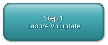 Step 1  Labore Voluptate